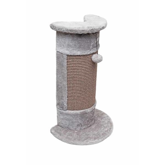 Picture of Cat Scratching Pole New York